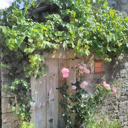 Gite Le Tilleul De La Fontaine Alluy Exterior foto